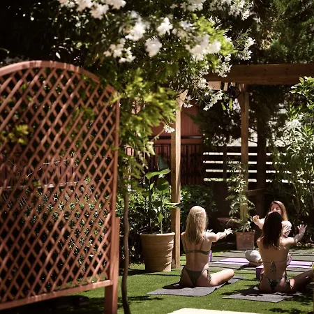 Anemelia Retreat - Explore & Recharge 4*