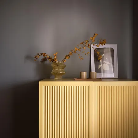 Anemelia Retreat - Explore & Recharge